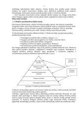 Darbuotojų motyvacija įmonėje 3 puslapis