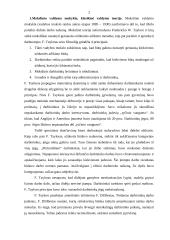 Keletas vadybos temų 2 puslapis