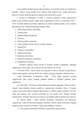 Keletas vadybos temų 4 puslapis