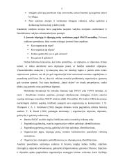 Keletas vadybos temų 5 puslapis