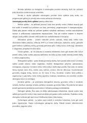 Vadybos organizavimas įmonėje 2 puslapis