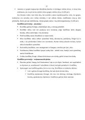 Vadybos organizavimas įmonėje 12 puslapis