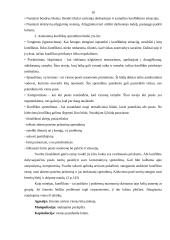 Vadybos organizavimas įmonėje 10 puslapis