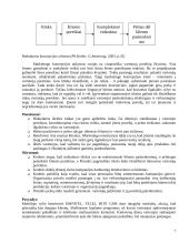 Vadybos orientacijos 7 puslapis