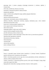 Vadybos pagrindai ir valdymo procesas 11 puslapis