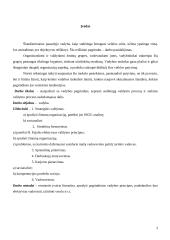 Vadybos pagrindai ir valdymo procesas 3 puslapis