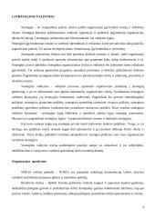 Vadybos pagrindai ir valdymo procesas 4 puslapis