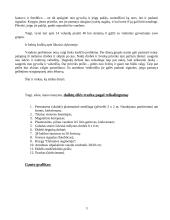 VadyInformacija, prognozavimas, sprendimų priėmimas 3 puslapis