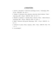 Vadovo lyderystės stiliaus poveikiai darbuotojų pasitenkinimui darbu 11 puslapis