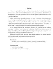 Vadovo lyderystės stiliaus poveikiai darbuotojų pasitenkinimui darbu 3 puslapis