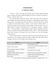 Vadovo lyderystės stiliaus poveikiai darbuotojų pasitenkinimui darbu 4 puslapis