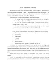 Vadovo lyderystės stiliaus poveikiai darbuotojų pasitenkinimui darbu 6 puslapis