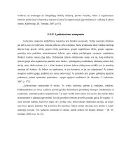 Vadovo lyderystės stiliaus poveikiai darbuotojų pasitenkinimui darbu 7 puslapis