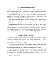 Vadovo lyderystės stiliaus poveikiai darbuotojų pasitenkinimui darbu 8 puslapis