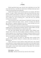 Vadovavimas UAB „RYTRA“ Utenos regioninėje tarnyboje 4 puslapis