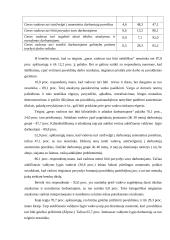Vadovavimo stilius 2 puslapis