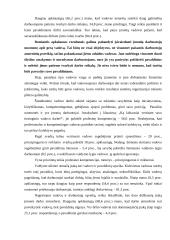 Vadovavimo stilius 3 puslapis