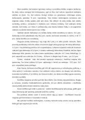 Vadovavimo stilius 4 puslapis