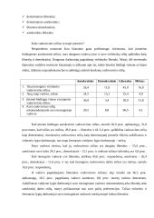 Vadovavimo stilius 6 puslapis