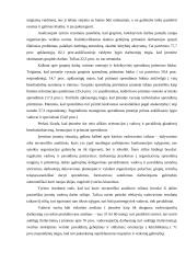 Vadovavimo stilius 8 puslapis