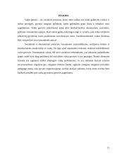 Vaiko gerovės samprata teisinėje bei mokslinėje literatūroje 12 puslapis