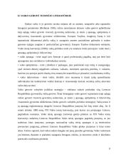 Vaiko gerovės samprata teisinėje bei mokslinėje literatūroje 8 puslapis