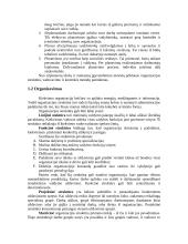Valdymo praktika: fotografavimo ir filmavimo paslaugos IĮ "Fotogidas" 7 puslapis