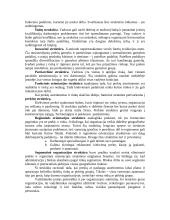 Valdymo praktika: fotografavimo ir filmavimo paslaugos IĮ "Fotogidas" 8 puslapis