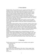 Valdymo praktika: ikimokyklinis ir priešmokyklinis vaikų ugdymas Mažeikių rajono Sedos darželyje 3 puslapis