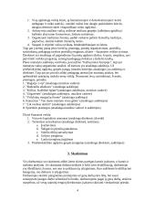 Valdymo praktika: ikimokyklinis ir priešmokyklinis vaikų ugdymas Mažeikių rajono Sedos darželyje 4 puslapis