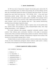 Valdymo situacija: foto paslaugos UAB "Akimirka" 2 puslapis