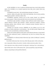 Valdymo situacija: foto paslaugos UAB "Akimirka" 12 puslapis