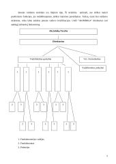 Valdymo situacija: foto paslaugos UAB "Akimirka" 3 puslapis