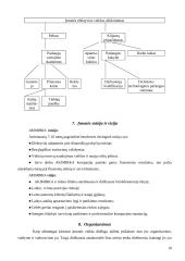 Valdymo situacija: foto paslaugos UAB "Akimirka" 8 puslapis