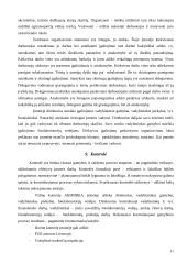 Valdymo situacija: foto paslaugos UAB "Akimirka" 9 puslapis