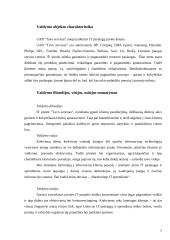 Valdymo sprendimai: IT paslaugų įmonė "Tavo servisas" 2 puslapis