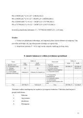 Valdymo sprendimai: IT paslaugų įmonė "Tavo servisas" 11 puslapis