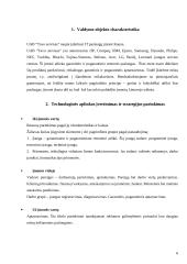 Valdymo sprendimai: IT paslaugų įmonė "Tavo servisas" 6 puslapis