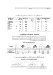 Valdymo sprendimai: IT paslaugų įmonė "Tavo servisas" 9 puslapis