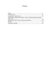 Valiutų kursai bei tarptautinė valiutų rinka 2 puslapis