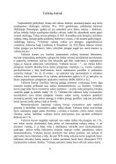 Valiutų kursai bei tarptautinė valiutų rinka 6 puslapis