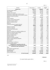 Lietuvos Respublikos biudžeto pajamos 13 puslapis