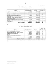 Lietuvos Respublikos biudžeto pajamos 10 puslapis