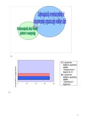 Valstybinės švietimo strategijos 2003-2012 metų nuostatos 11 puslapis
