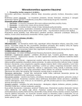 Mikroekonomikos egzamino bilietai su atsakymais