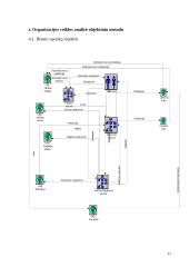 Veiklos analizė ir informacinių poreikių specifikavimas: UAB "JTF konservai" 11 puslapis