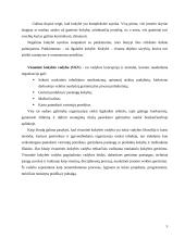 Veiklos vertinimas remiantis kokybės vadybos principais: UAB "X" 5 puslapis