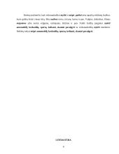 Veiksmažodžio "mylėti" reikšmės ir vartojimas 8 puslapis