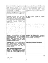 Verslo pagrindai ir kūrimas 3 puslapis