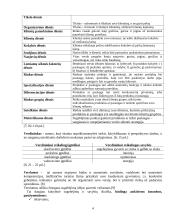 Verslo pagrindai ir kūrimas 4 puslapis